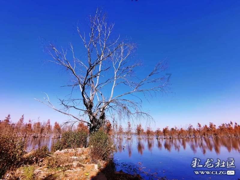 原神阿陀河谷观景点游戏画面
